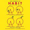 How to change bad habits…  [Charles Duhigg]