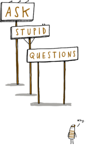 Get rich by asking stupid questions?
